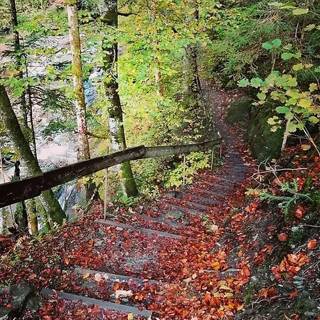 Leitnerbauer's Troadkasten Donnersbach