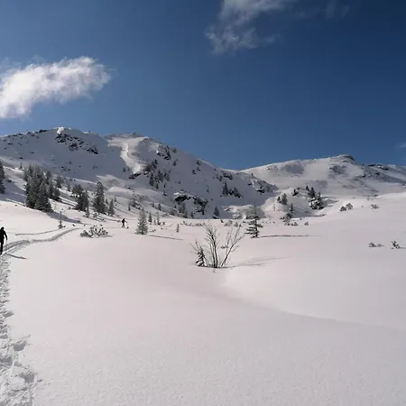 Leitnerbauer's Troadkasten Farma *