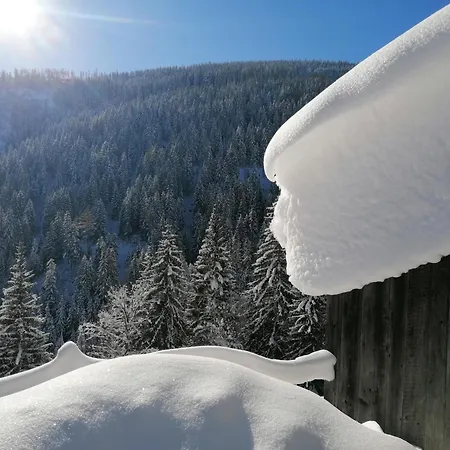 Leitnerbauer's Troadkasten * Donnersbach