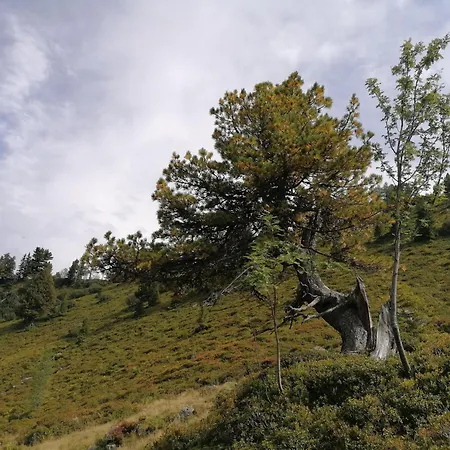 Leitnerbauer's Troadkasten