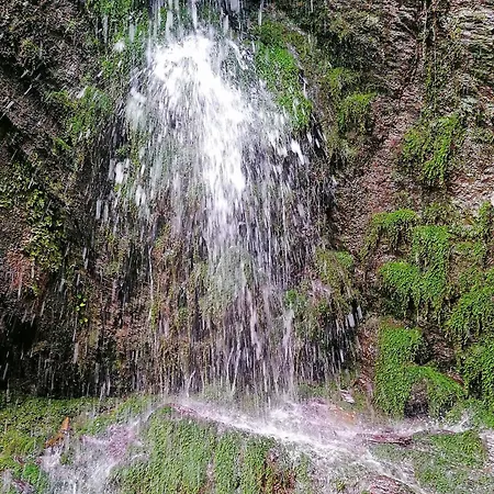 Leitnerbauer's Troadkasten Lantgård