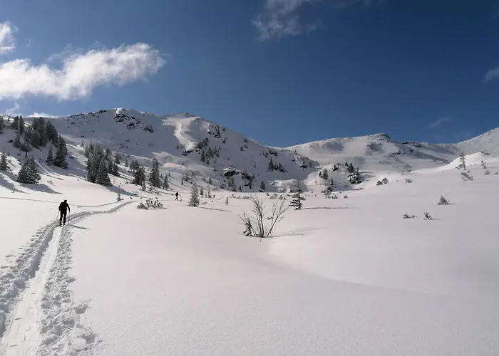 Leitnerbauer's Troadkasten Feriegård *