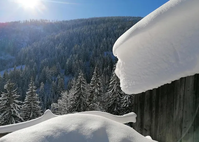 Leitnerbauer's Troadkasten * Donnersbach