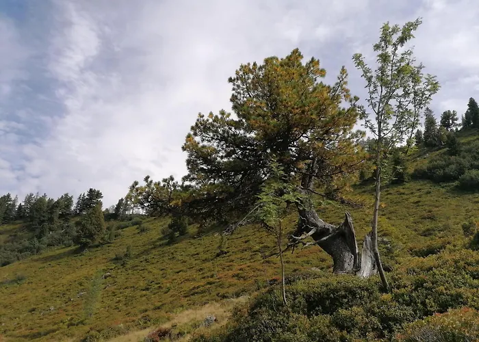 Leitnerbauer's Troadkasten