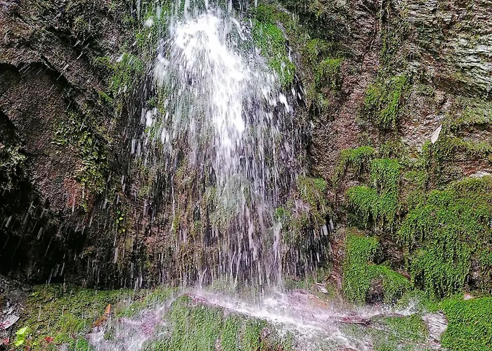Leitnerbauer's Troadkasten مزرعة للإقامة